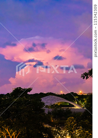 Singapore: Gardens by the Bay in the morning Singapore: Gardens by the Bay in the morning 115342309