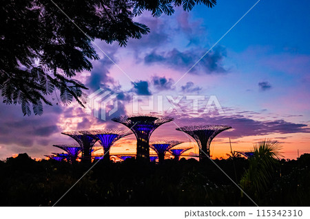 Singapore: Gardens by the Bay in the morning Singapore: Gardens by the Bay in the morning 115342310