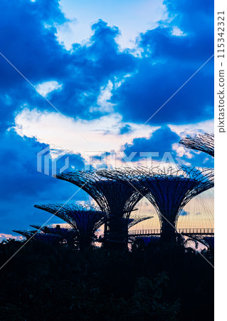 Singapore: Gardens by the Bay in the morning Singapore: Gardens by the Bay in the morning 115342321