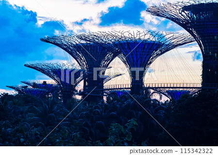 Singapore: Gardens by the Bay in the morning Singapore: Gardens by the Bay in the morning 115342322