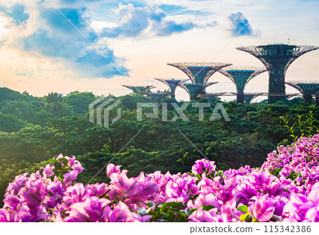 Singapore Gardens by the Bay scenery 115342386