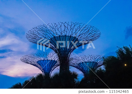 Night view of Singapore Night view of Singapore 115342465