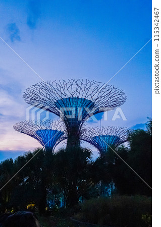Night view of Singapore Night view of Singapore 115342467