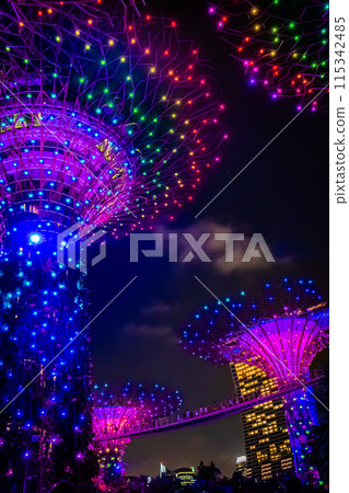 Night view of Singapore Night view of Singapore 115342485