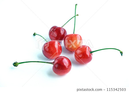 Cherry (Sato Nishiki) 115342503