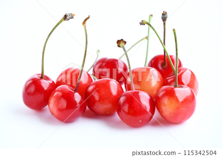 Cherry (Sato Nishiki) 115342504