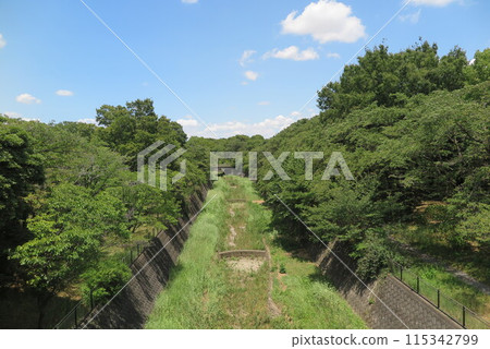 夏日藍天新綠環繞的空堀川風景1 夏日藍天新綠環繞的空堀川風景1 115342799