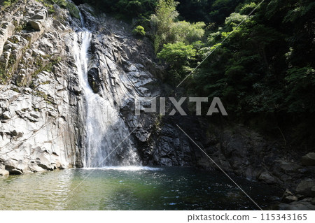 晴天的山上瀑布風景(布引瀑布 - 大瀧) 晴天的山上瀑布風景(布引瀑布 - 大瀧) 115343165