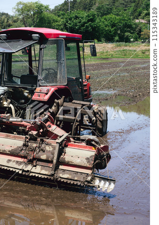 Japanese Rural Scenery: Rice Planting Season Japanese Rural Scenery: Rice Planting Season 115343189