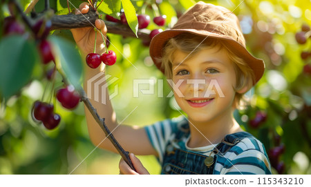 A young child enjoying cherries in a lush orchard 115343210