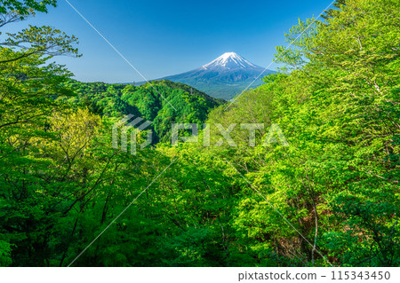 從天下茶屋眺望新綠和富士山 115343450