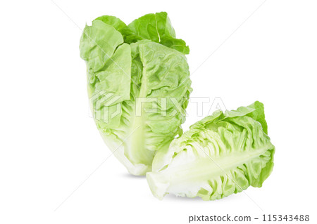 fresh baby cos lettuce isolated on white background 115343488