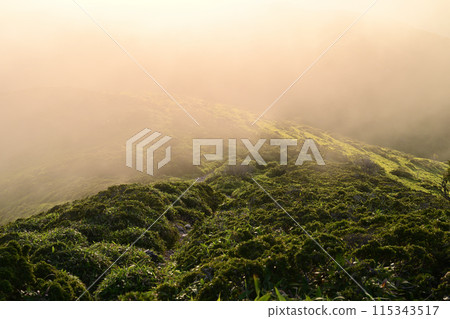 The fog of Miune, said to be the most beautiful mountain in Shikoku The fog of Miune, said to be the most beautiful mountain in Shikoku 115343517