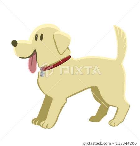 Illustration of labrador retriever 115344200