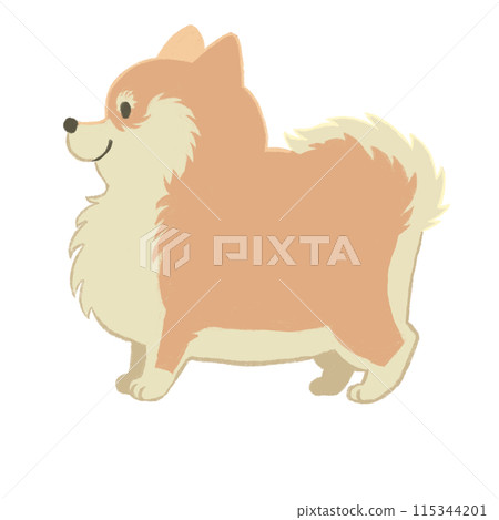 Illustration of Pomeranian 115344201