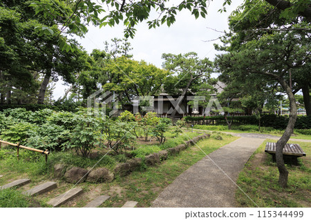 初夏的鬱鬱蔥蔥的公園(伊東博文別墅) 初夏的鬱鬱蔥蔥的公園(伊東博文別墅) 115344499