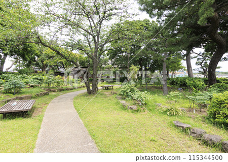 初夏的鬱鬱蔥蔥的公園(伊東博文別墅) 初夏的鬱鬱蔥蔥的公園(伊東博文別墅) 115344500