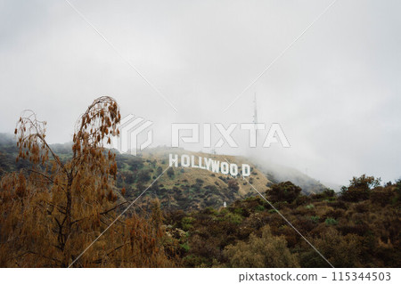 Hollywood Sign 5 115344503