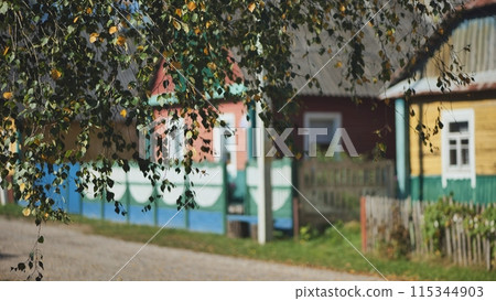 Rural landscape. Birch branches on the background of houses in a village in Eastern Europe. 115344903