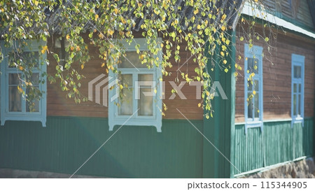 Rural landscape. Birch branches on the background of house in a village in Eastern Europe. 115344905