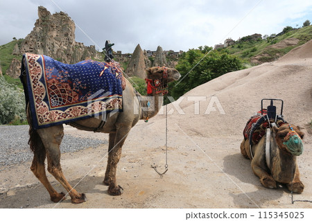 Uchisar Castle and tourist camels 115345025