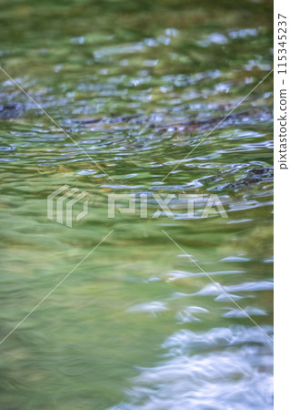 鏡野町清澈的森林溪流映照出的新綠 鏡野町清澈的森林溪流映照出的新綠 115345237