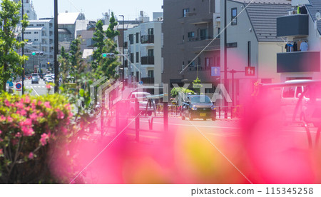 世田谷區三軒茶屋附近的城市景觀 世田谷區三軒茶屋附近的城市景觀 115345258