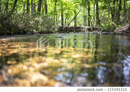 Fresh greenery reflected in the clear, transparent stream of the forest - Kagamino Town Fresh greenery reflected in the clear, transparent stream of the forest - Kagamino Town 115345310