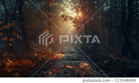 A forest path is lit by the sun, casting a warm glow on the trees and leaves 115346009