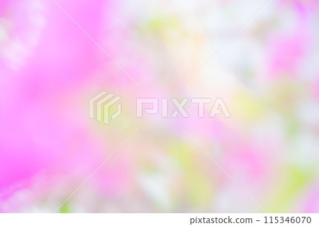 Pink color flower image (blurred) 115346070