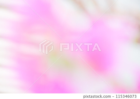 Pink color flower image (blurred) 115346073