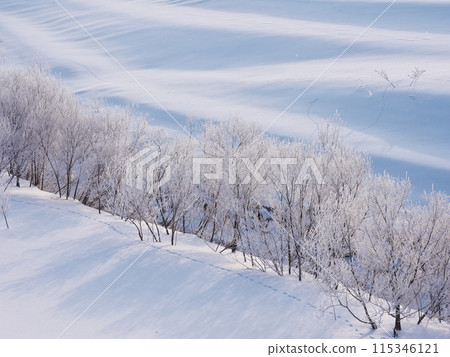 冬季從北海道岩見澤市未來大橋眺望石嘉川雪景 115346121