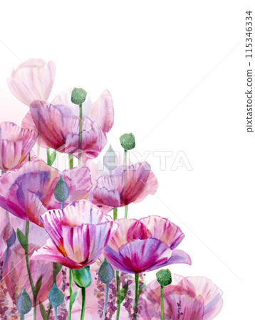 Pink flowers foral background. Watercolor illustration. Pink flowers foral background. Watercolor illustration. 115346334