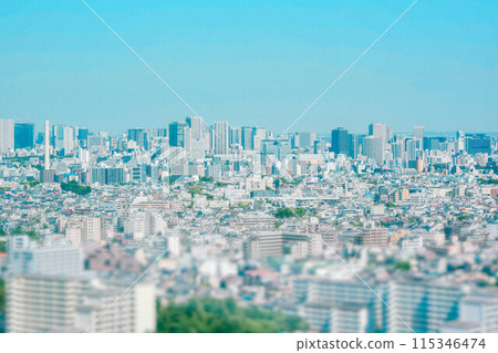 View of Setagaya, Tokyo from the observation deck 115346474