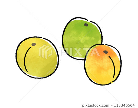 plum plum 115346504