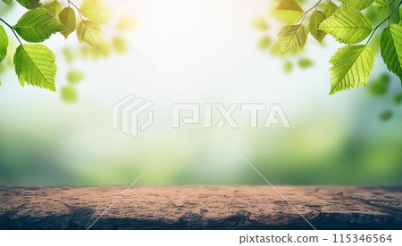 新鮮的綠色植物和藍天閃閃發光的複製空間 2 115346564