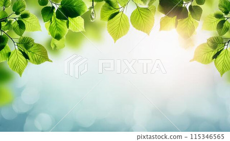 Sparkling copy space of fresh green and blue sky 3 115346565
