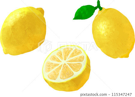 檸檬插畫與水彩風格的觸感 檸檬插畫與水彩風格的觸感 115347247