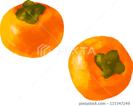 水彩風格觸摸柿子的插圖 115347249
