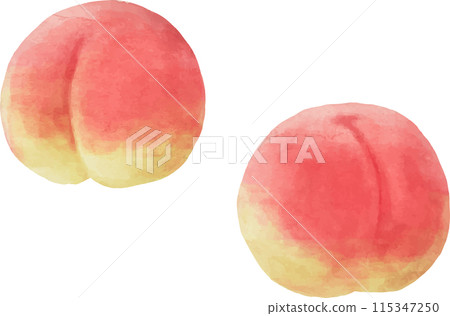 Watercolor-style peach illustration Watercolor-style peach illustration 115347250