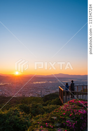 西藏王公園展望廣場/夜景 115347284