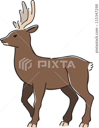 Hand-drawn illustration of a deer (winter fur) 115347298