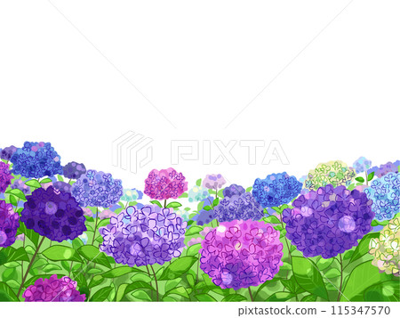 Hydrangeae group Hydrangeae group 115347570