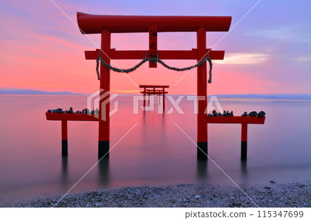 [Saga Prefecture] The underwater torii gates of Ooguo Shrine at sunrise 115347699