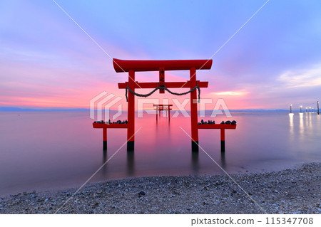 [Saga Prefecture] The underwater torii gates of Ooguo Shrine at sunrise 115347708