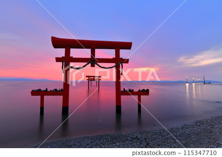 [Saga Prefecture] The underwater torii gates of Ooguo Shrine at sunrise 115347710