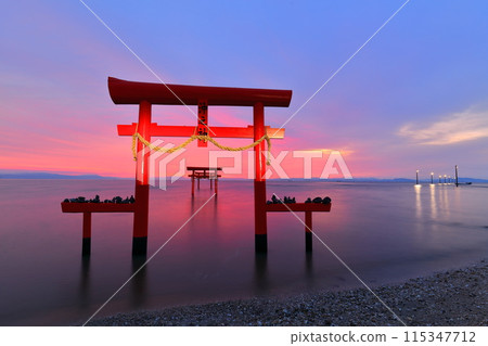 [Saga Prefecture] The underwater torii gates of Ooguo Shrine at sunrise 115347712