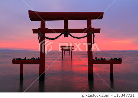 [Saga Prefecture] The underwater torii gates of Ooguo Shrine at sunrise 115347721
