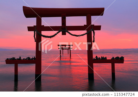 [佐賀郡] 日出時的王王神社水下鳥居 115347724