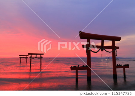 [Saga Prefecture] The underwater torii gates of Ooguo Shrine at sunrise 115347725